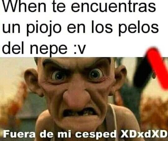 Xd - meme