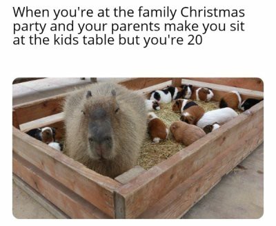 Kids table - meme