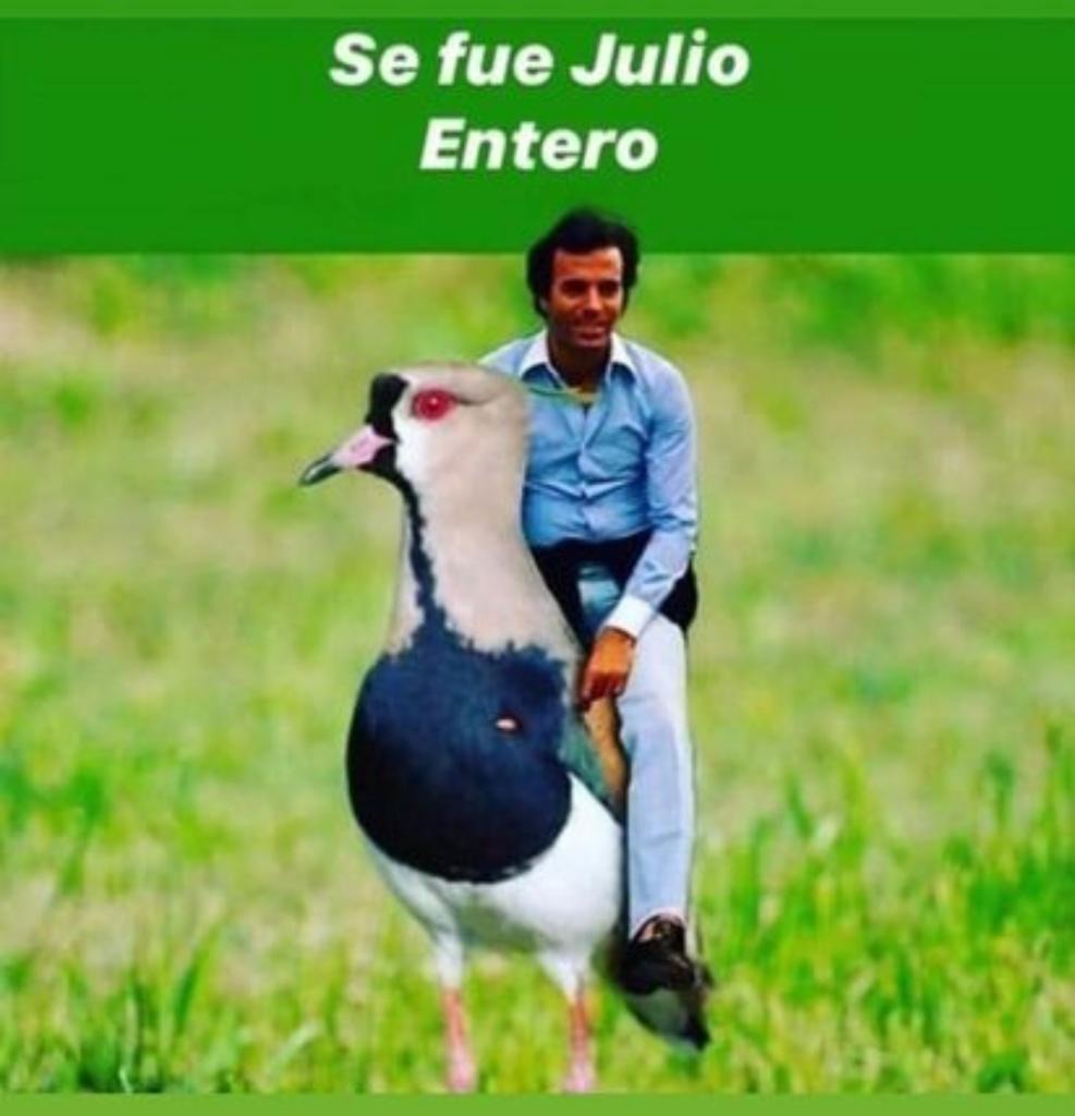 Julio - meme