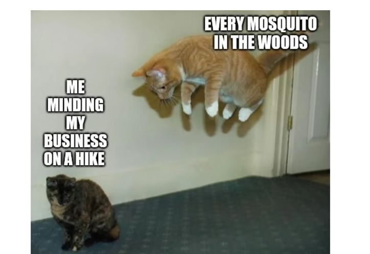 mosquitoes - meme