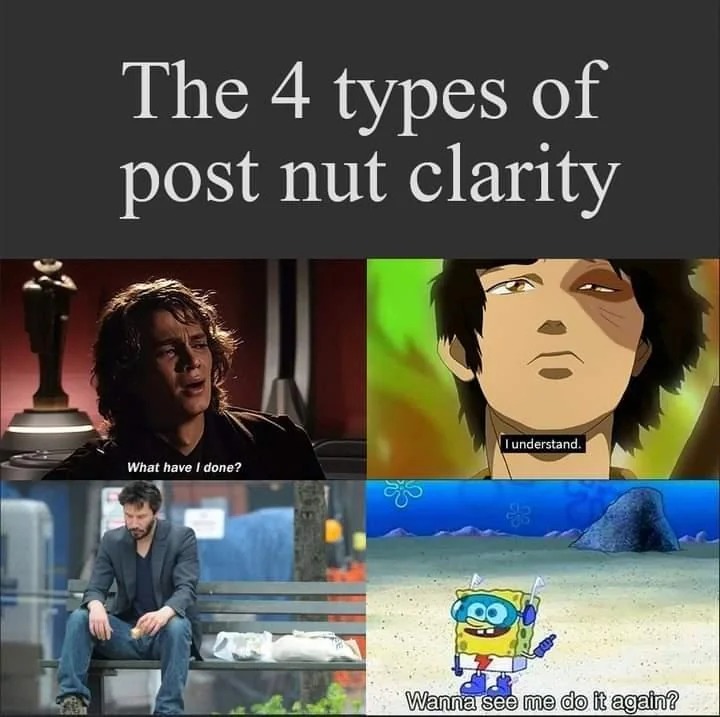 4 types of post nut clarity - meme