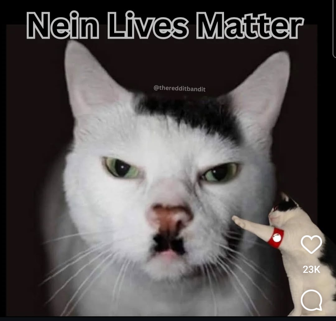 Nien - meme