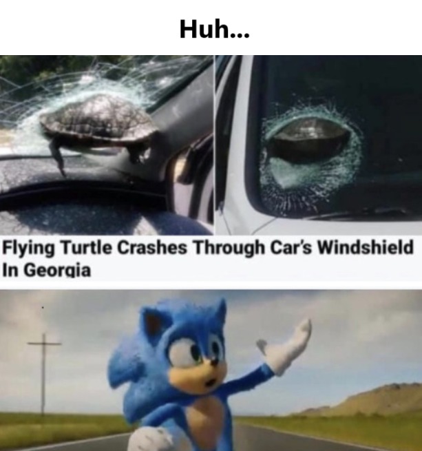Poor Turtle - meme