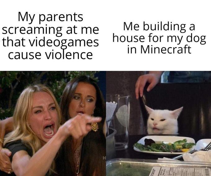 Mes parents en train de crier en disant que les jeux vidéo sont violent/moi en train de construire une maison pour mon chien dans minecraft - meme