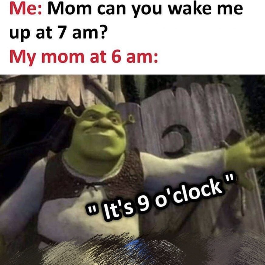 Mom at 9 am - meme