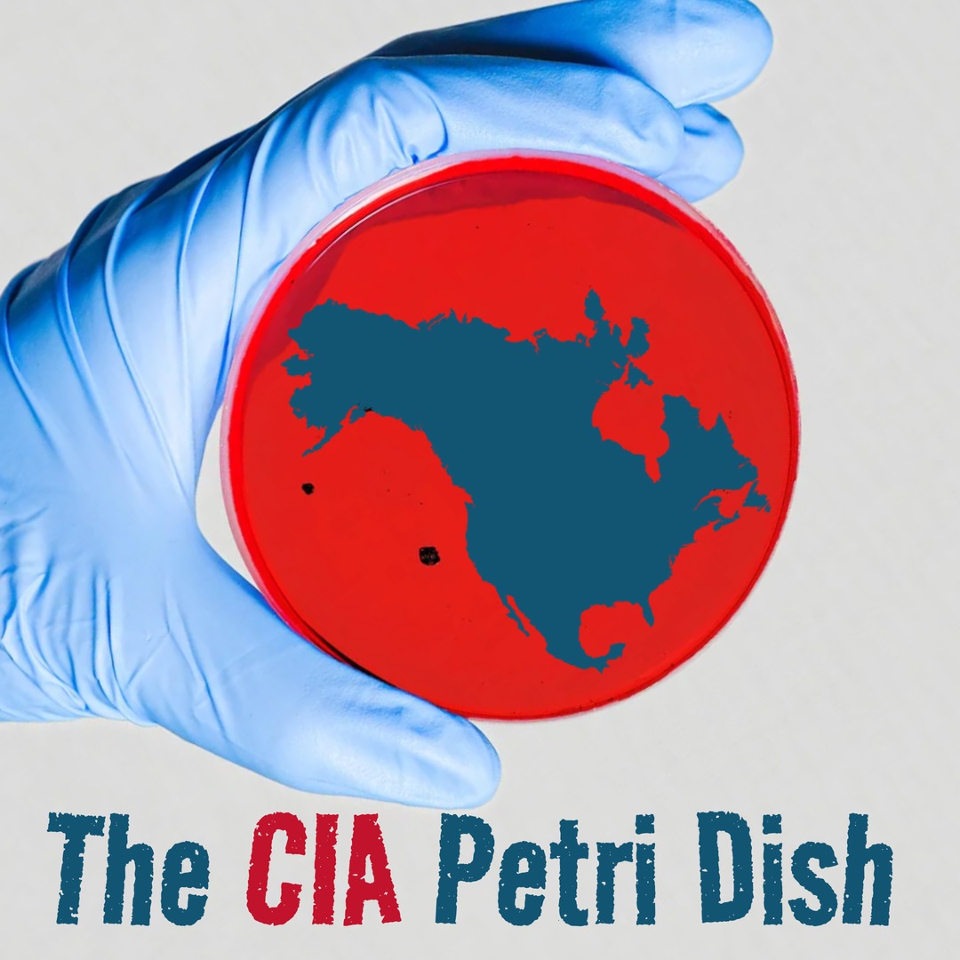 CIA is experimenting on you - meme