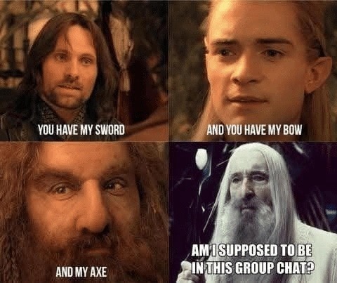 You have my sword, my bow, and… wait why am I in this group chat - meme