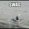 Swag bird