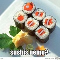 Nemo !!!!