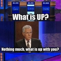 Troll level: Jeopardy