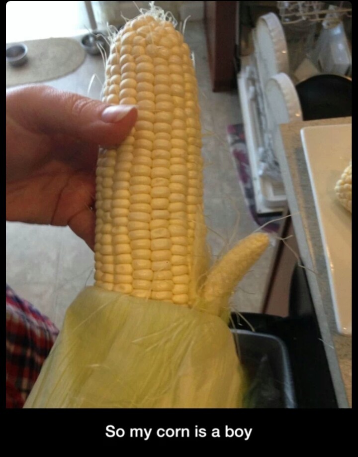 This corn fucked your mom - meme