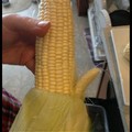 This corn fucked your mom