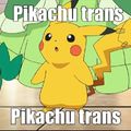 Pikachu trans