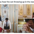 Oh God not the cat