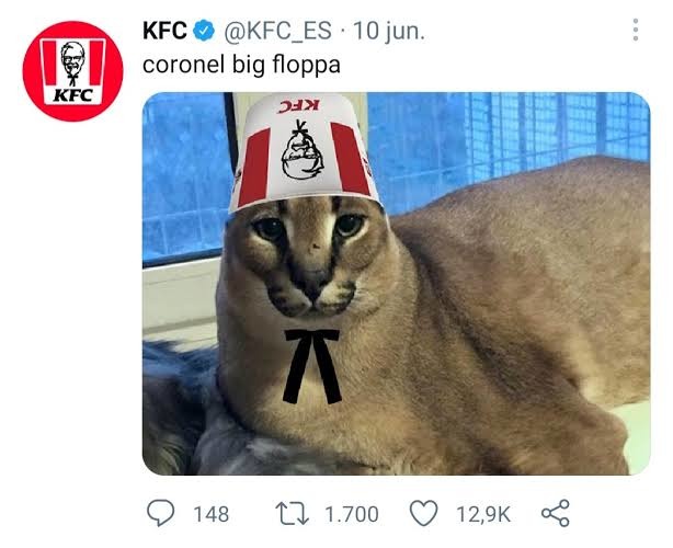 Conoce a 'Big Flopp': el meme felino más popular de 2020 (Fotos