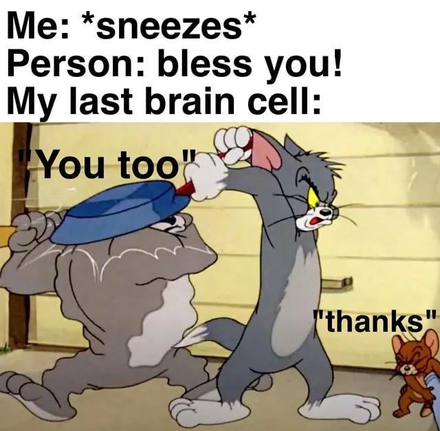 Meme:*sneezes*