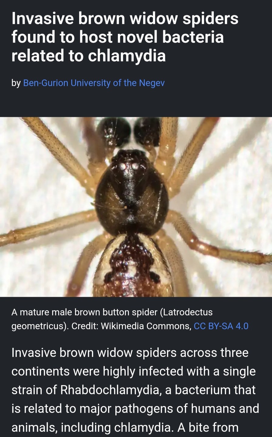 New reason to hate spiders - meme