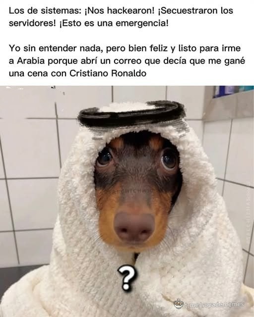 yo feliz por ganarme cena con Cristiano mientras secuestran los servidores - meme