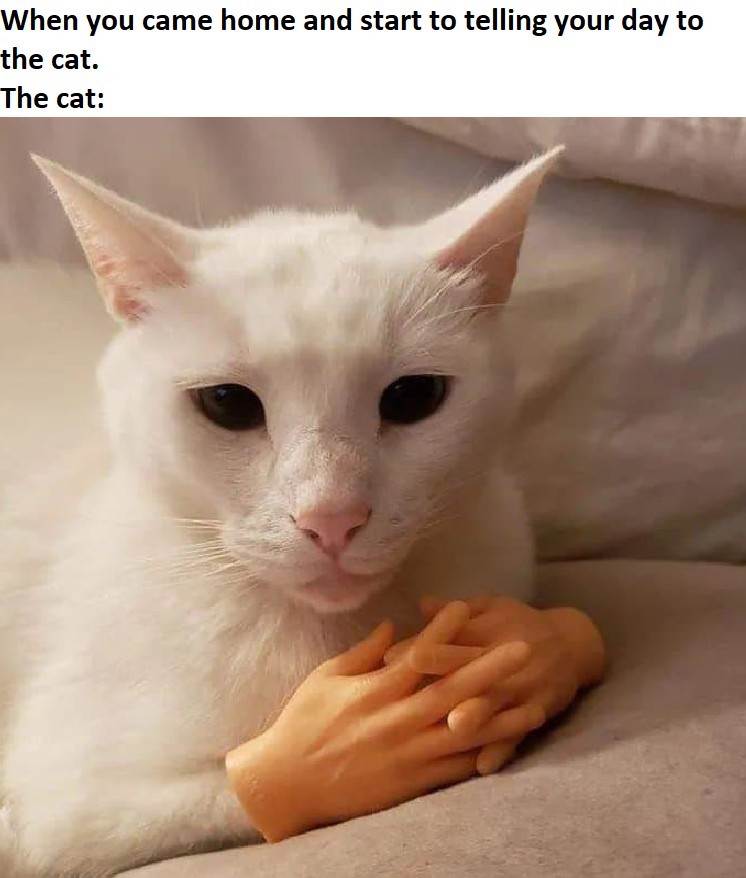 nana nana nana nana CAT HANDS! - meme