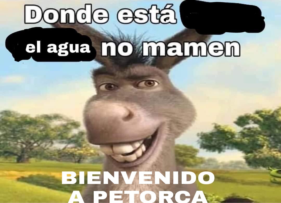 PETORCA EN CHILE SER COMO - meme