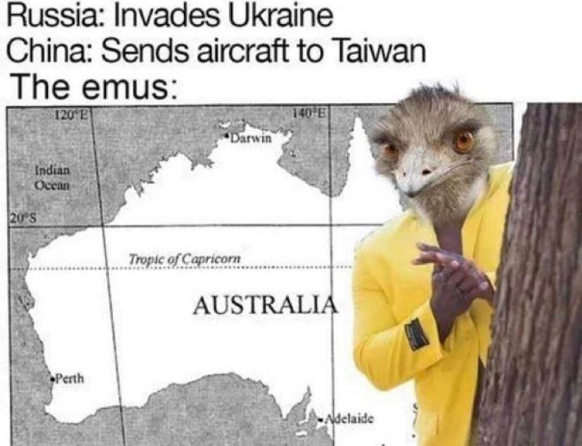 emu - meme
