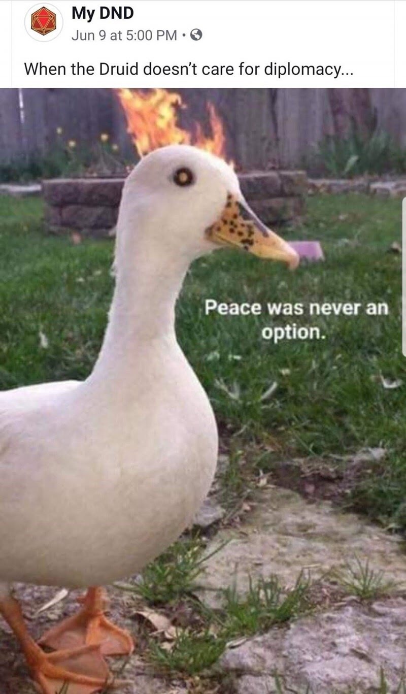 I said I quack to intimidate - meme