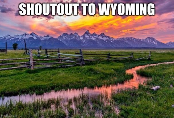 Adios Liz Cheney!  Wyoming, where the beer is cold. - meme