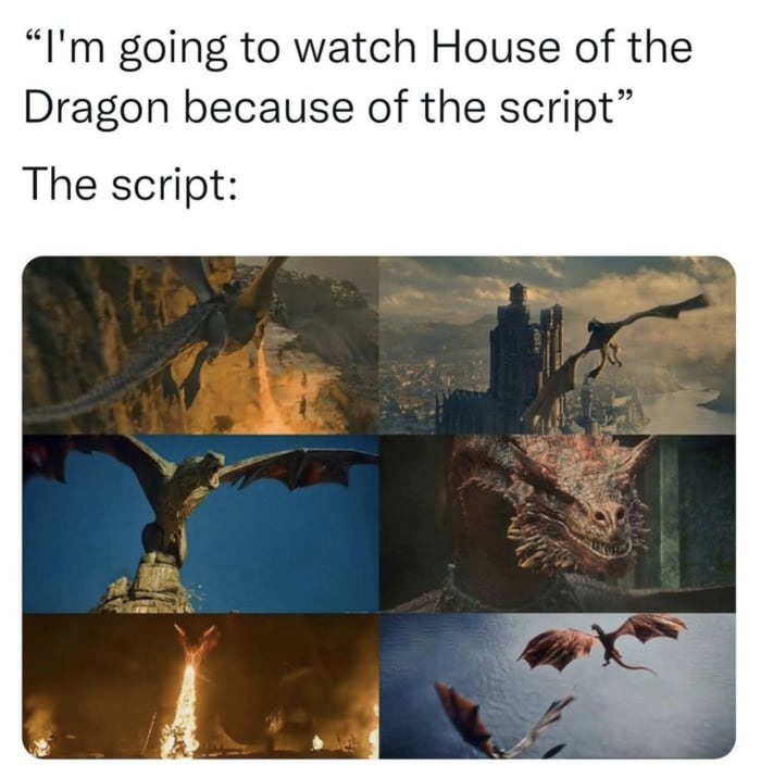 dragons of house of the dragon meme