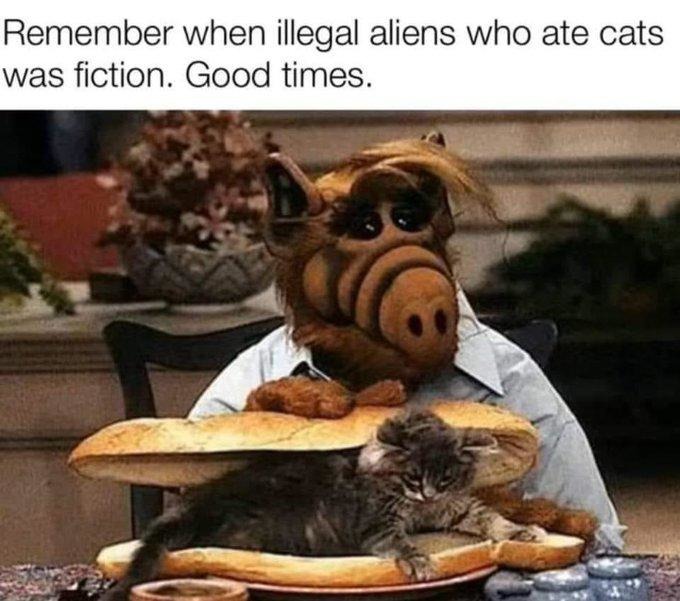 Alf eating cats meme