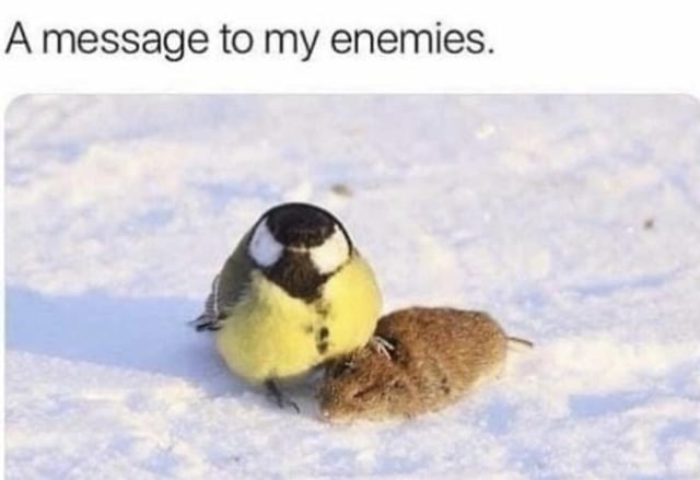 Friendly reminder: stay mad losers - meme