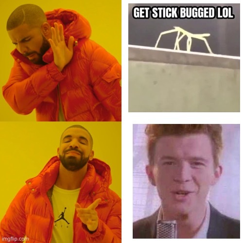 rick roll o stick bug hermano? - meme