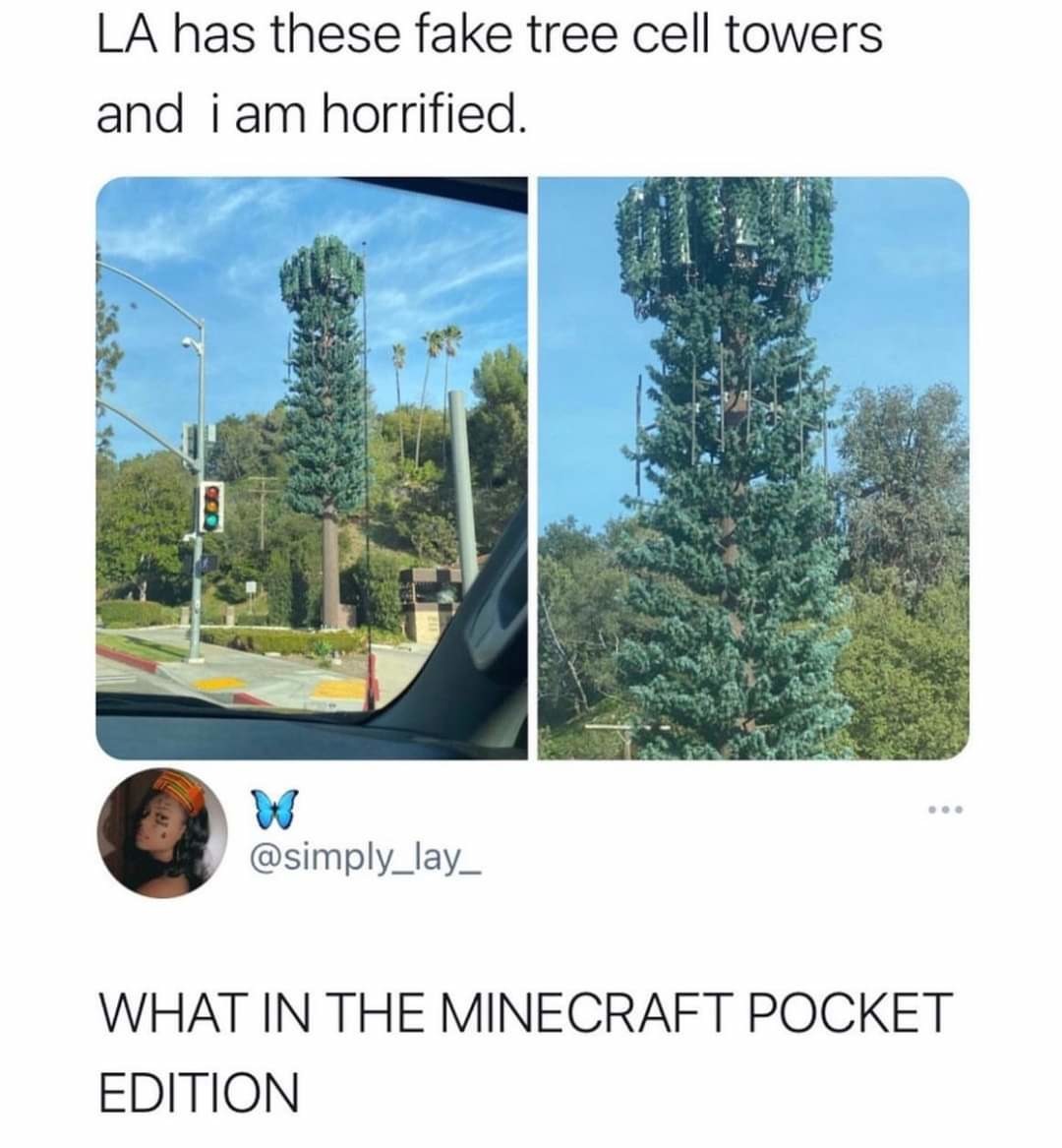 Fake minecraft... - meme