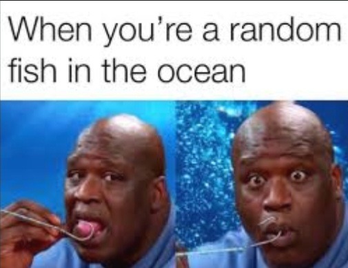 Shaq - meme