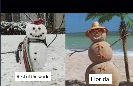 Florida weird - meme