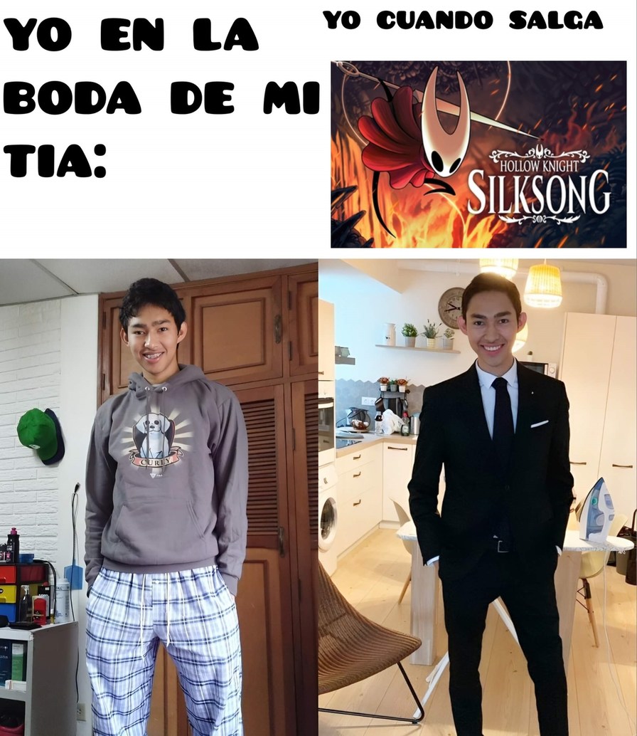 Esperando Hollow Knight Silksong - meme