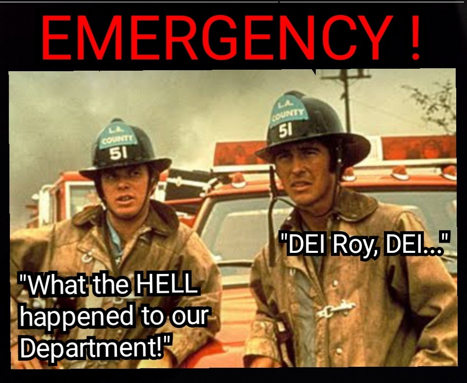 Los Angeles and LAFD Is Cooked - meme