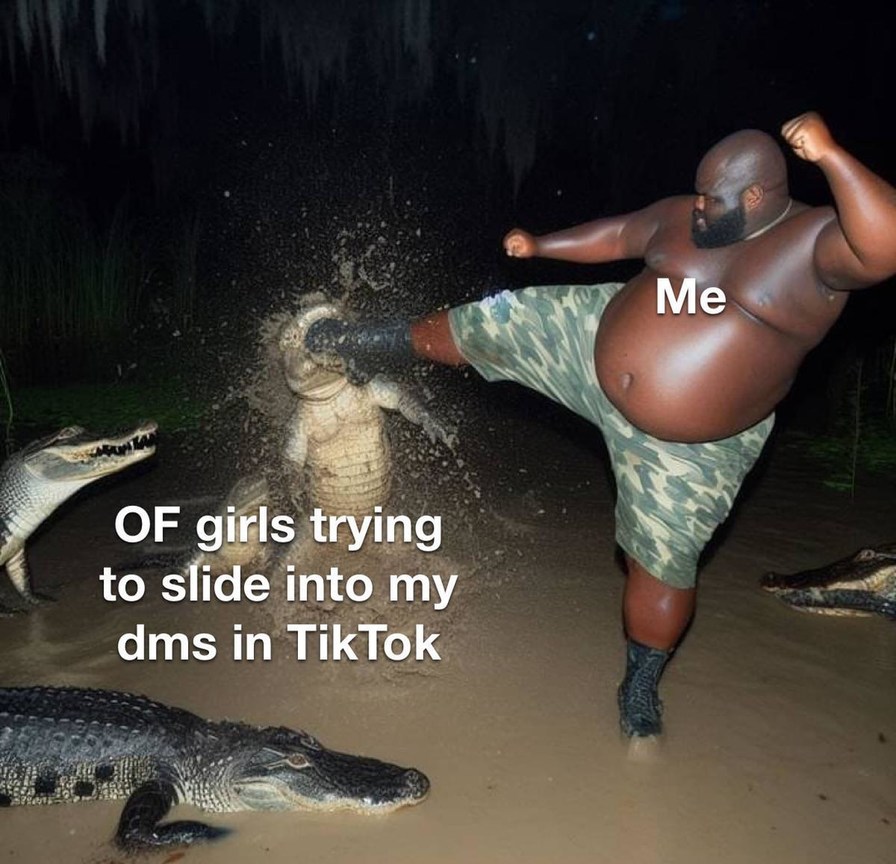 Girls trying to DM me on TikTok while I'm minding my business - meme
