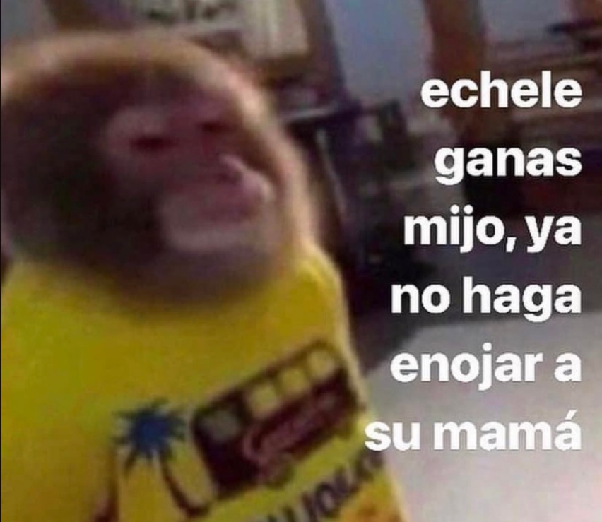 Memes Cortos De Monos