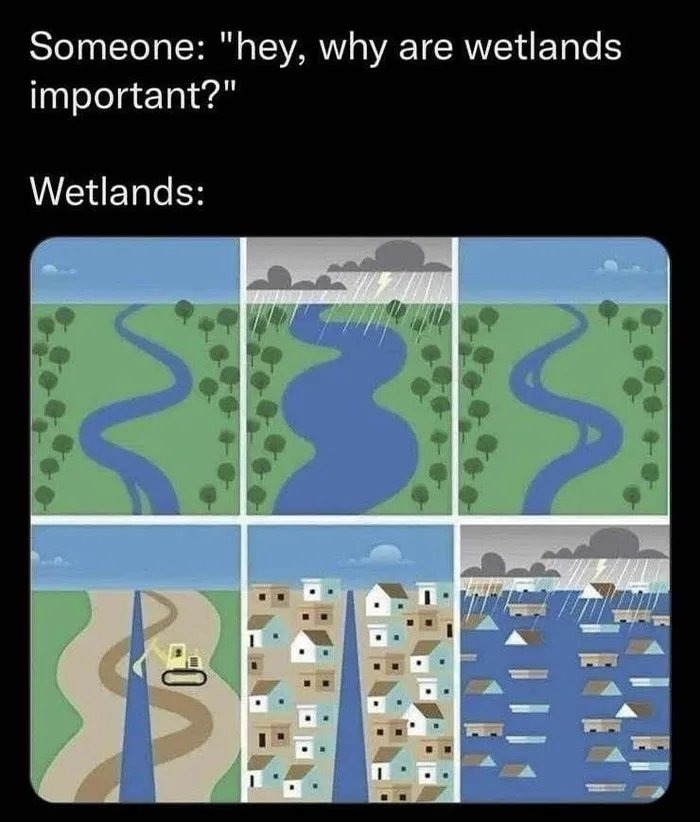 Wetland - meme