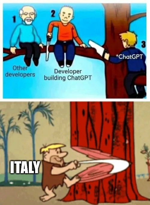 Taken down by an executive order in Italian - meme