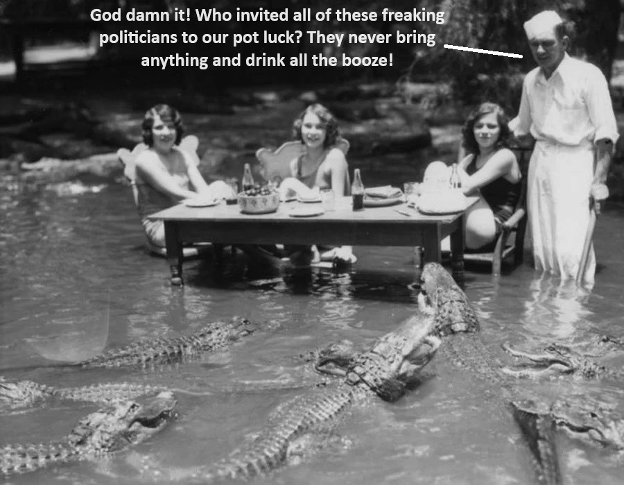 Reptiles belong in swamps - meme