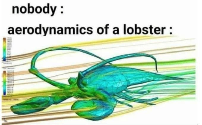 Aerodynamics of a lobster - meme