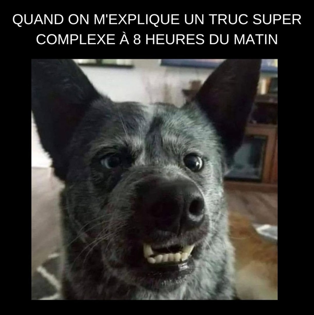 Moi à huit heures du matin - meme