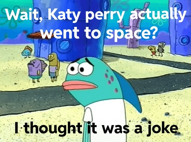 Wait... Katy Perry actually went to space? I thought it was a bit - meme