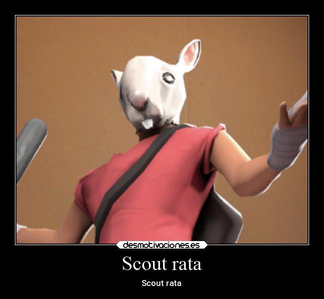 Scout rata - meme
