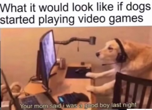 if dogs played video games - meme