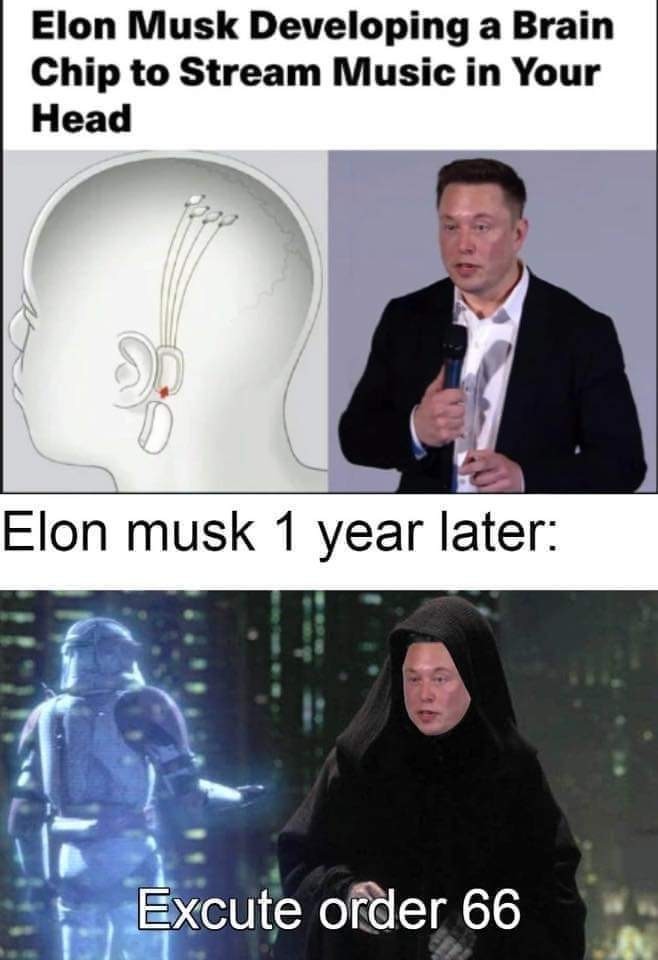 Chip Tesla musk - meme