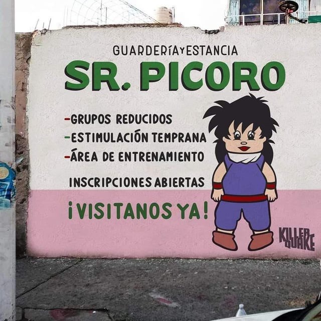 Guardería Sr. Picoro - meme