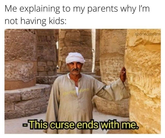 Explaining my parents why I'm not having kids - meme