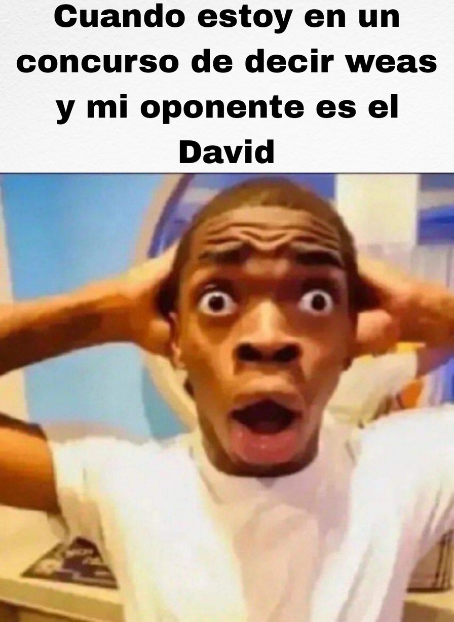 El David - meme